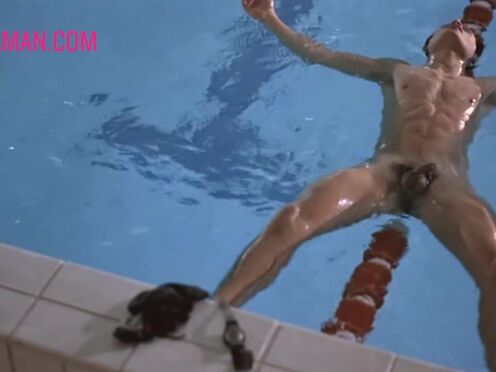 Hole-y Moly Best Anus Shots