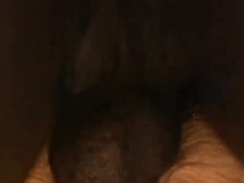 Chubby bear Jason Roman blows black cock before bareback doggystyle