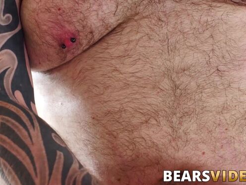 Bear daddies enjoy rimming before bareback butt slamming