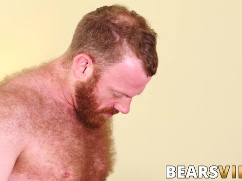 Bears Ronan Delaney & Russell Tyler suck & bare fuck