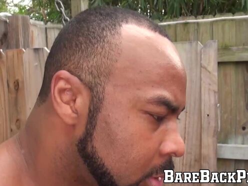 Bald hunk Matt Stevens gets banged raw in interracial bang