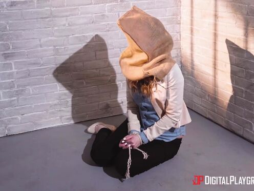 Digital Playground: The Finisher: A Double penetration XXX Parody with Dolly Leigh