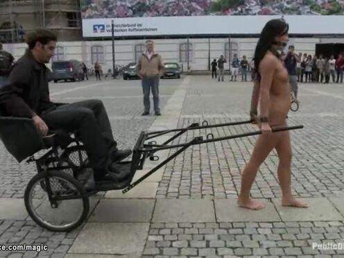 Romanian bitch pulling chariot in public