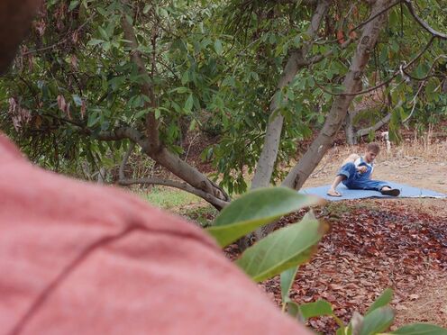 NEXTDOOR STUDIOS Gay sex among the avocado trees