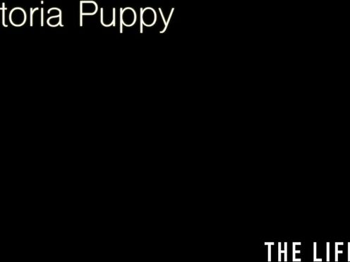 Victoria Puppy rams her cunt with a big cucumber