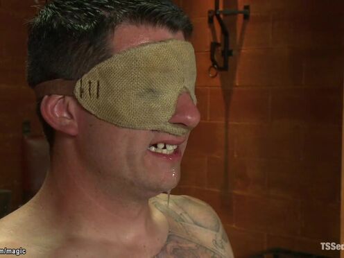 Dom Transgender anal fucks bound Bachelor