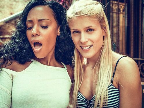 Sweet Cat sits on Noe Milk's face