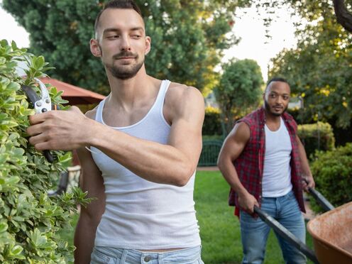 Manscaping - Dillon Diaz, Johnny B