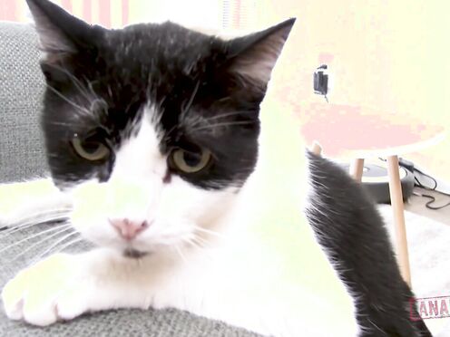 Analized - London River gets her butthole used