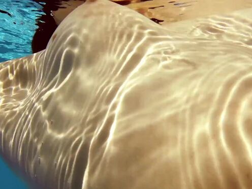 Curly hair Fernanda super flexible beautiful babe underwater