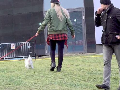 Cute Czech female with empty account