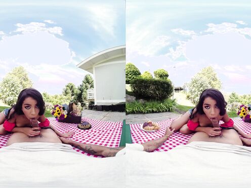 She Wants Picnic, I Give Her a Creampie - Virtual Real Porn