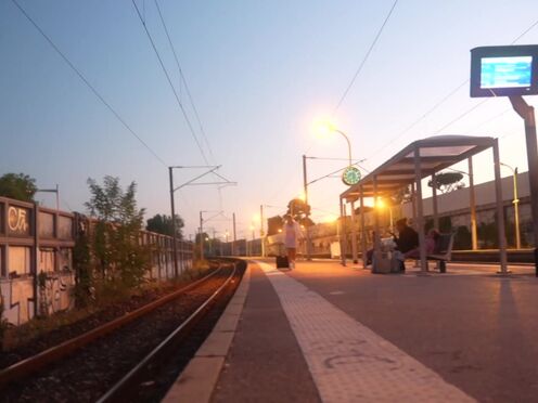 Miss Alice Wild tames the pack...