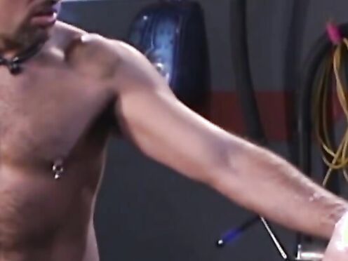 Brock tries to follow Steve's swelteringly sexy ass as he stands up on the workbe