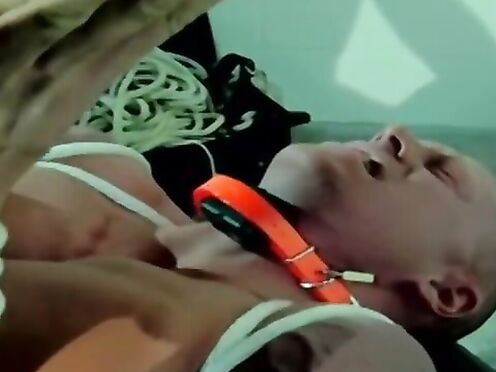 Twink dude Beau Sinclair endures shock collar with assfucking invasion while tightly b