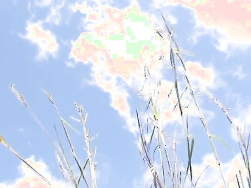 Carina goes outdoors & strips