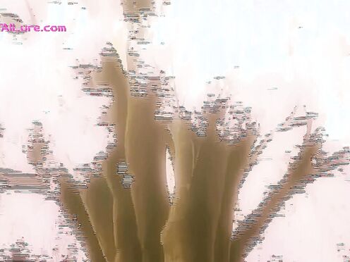 Hentai Story of Love, Lust, & Seduction That Turns a Tender Meeting Into an In