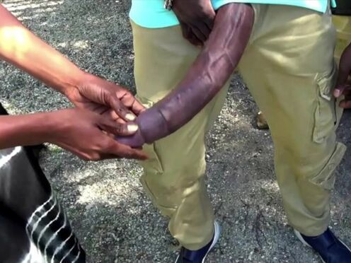 Public Bus Stop BBC Flasher