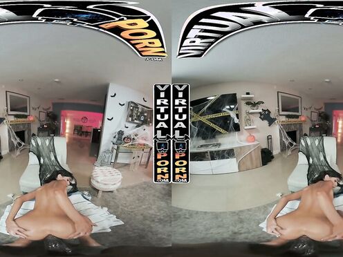 Doggy Delights - POV Compilation #4