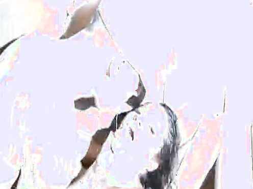 University Pals Fucking Backyard